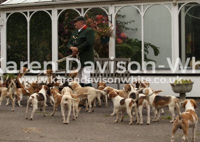 IMG_5011svbkarendavisonwhite