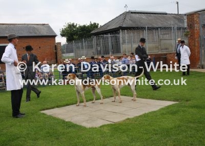 IMG_5027RAMSGATE 2ND AND RAIDER BY VWH STATESMAN '15 - NCH RAINFALL '16