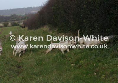 img_5031karendavisonwhite