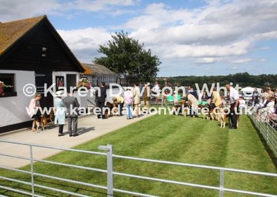 IMG_5181E&S couples karendavisonwhite