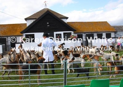 IMG_5195E&S Foxhounds karendavisonwhite