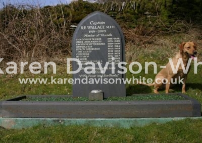 IMG_5464strange looking foxhound