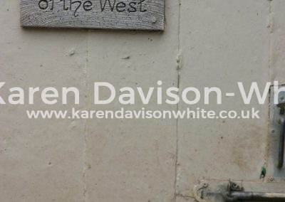 IMG_5517Exmoor foxhound kennels karendavisonwhite