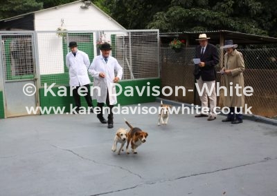 IMG_5520My Webley 1st, Pepper 3rd and Pepsi 2nd SVB puppy show 19