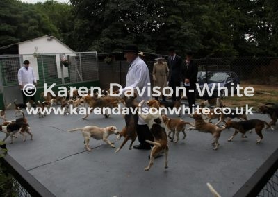 IMG_5539 (2)Three packs of hounds in this kennel to look after