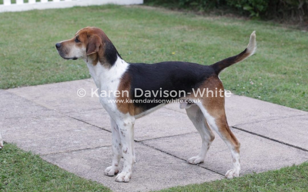 High Peak Hunt 16.6.18