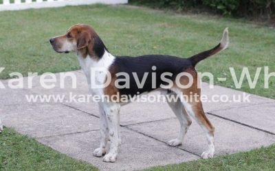 High Peak Hunt 16.6.18