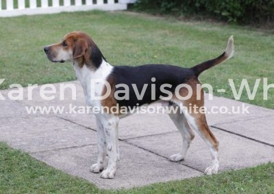 IMG_5587HPH Cotley - WH Colman 16 - Shortcake '14