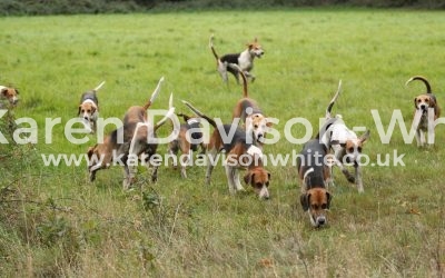 Felt like a little verse