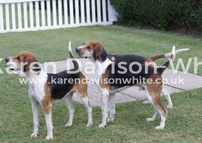 IMG_5599Waveney Colman '16 HPH Cotley by Colman