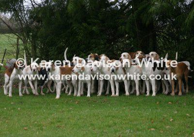 img_5605suffolk-foxhounds-kdwimages