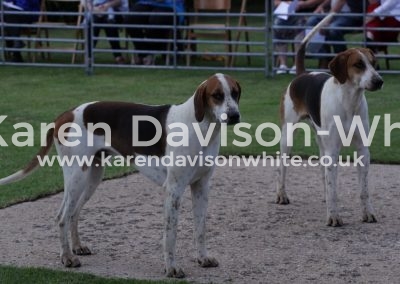 IMG_5652Moleskin and Moses (1st) Cottesmore Moleskin '15 - Saucepan'11