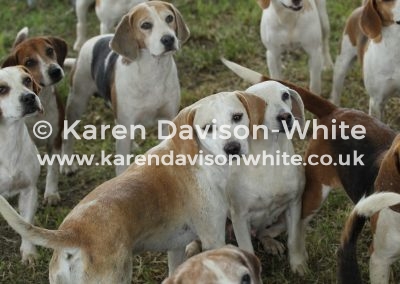 IMG_5678 SVB Warlock in middle karendavisonwhite