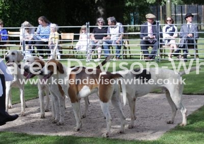 IMG_5682coats are gleaming