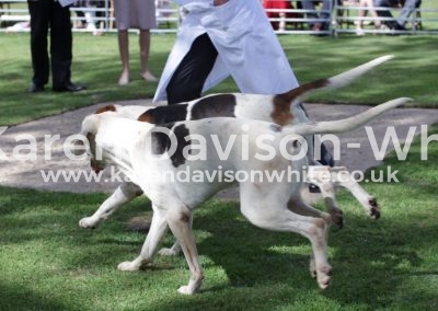 IMG_5691Stagger and Sterling