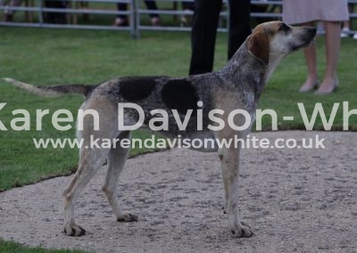 IMG_5719Beckon G&R BELLMAN '13 - Rosey '13