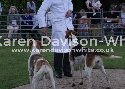 IMG_5757Best working 1st season bithch Dora and best working from prveious season Rachsr;