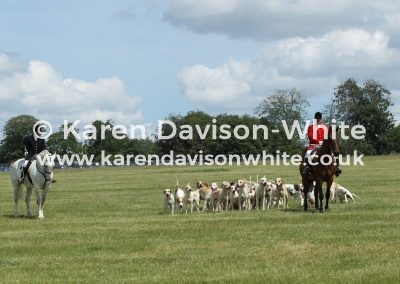 IMG_5788Suffolk Foxhounds karendavisonwhite