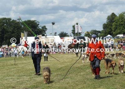 IMG_5822ECMH karendavisonwhite