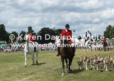 IMG_5826Dunston Harriers karendavisonwhite