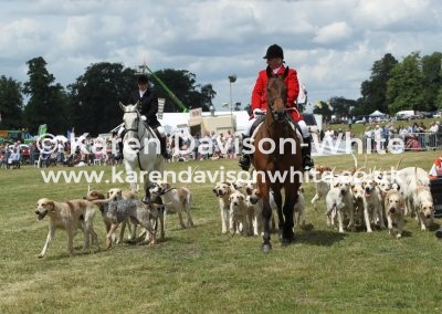 IMG_5828Suffolk Foxhounds karendavisonwhite