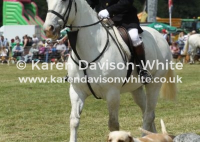 IMG_5830DK karendavisonwhite