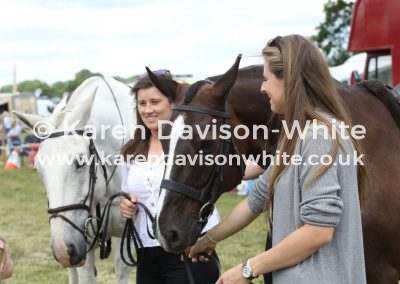 IMG_5849little girl meeting the horses kdwimage