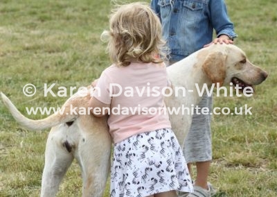 IMG_5851Got to love a hound karendavisonwhite