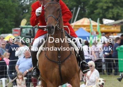 IMG_5867Suffolk Huntsman karendavisonwhite