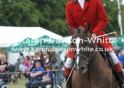 IMG_5868Dunston Huntsman karendavisonwhite