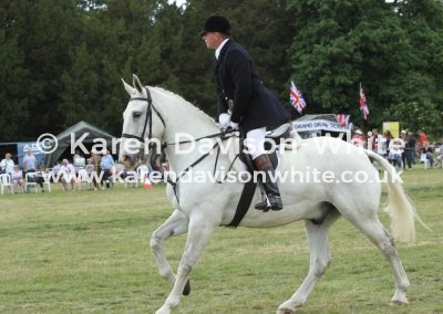 IMG_5870Suffolk Whipper-in karendavisonwhite 2019