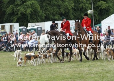 IMG_5876Dunston Harriers and Suffolk Foxhounds