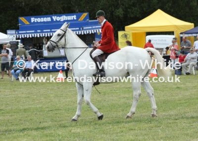 IMG_5881Dunston whip karendavisonwhite