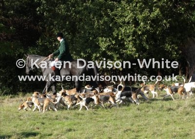 IMG_6024WH karendavisonwhite opening meet