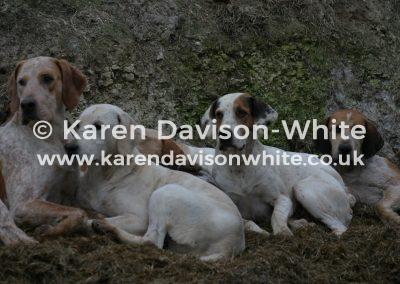 img_6306old-berks-website-kdwimge