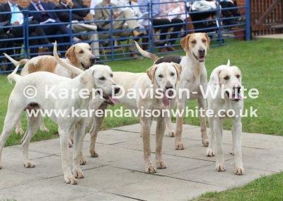 IMG_6335Thurlow young entry doghounds. kdw