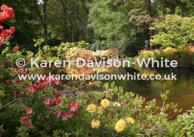 img_6389reflections-on-the-water