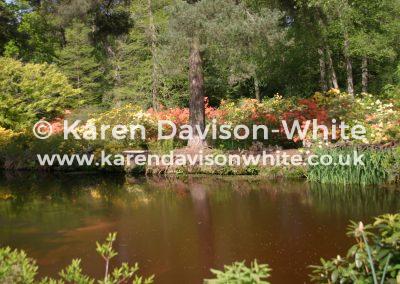 img_6390water-garden-stody