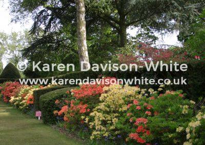 img_6423norfolk-garden