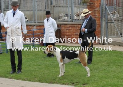 IMG_6505Best working bitch Famous (DANDY '15 - Favour '13)