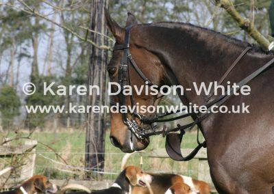 img_6633benson-kdwimage-2011
