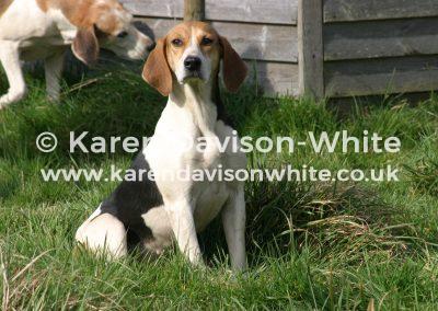 img_6653possibly-crimson-kdwimage