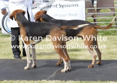 IMG_6660 (2)North Shorps Peter McColgan kdw