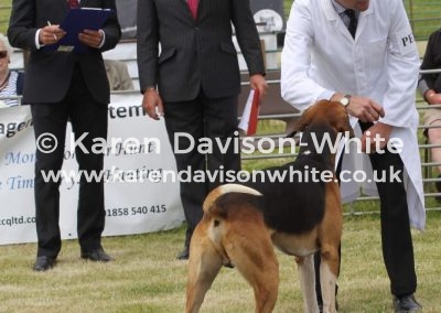 IMG_6664 Percy fh kdw