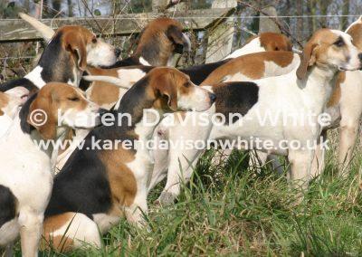img_6669waveney-harriers-kdwimage