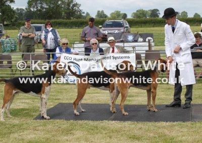 IMG_6672Pytchley kdw