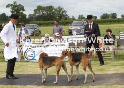 IMG_6682Holderness kdw