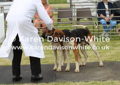 IMG_6701Percy fh kdw image