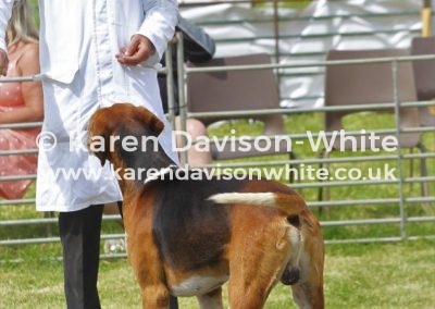 IMG_6726 (2)Hurworth