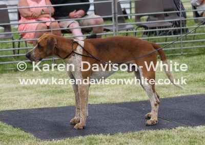 IMG_6756North Shrops kdw